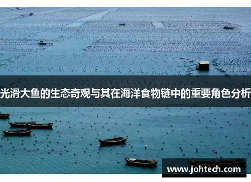 光滑大鱼的生态奇观与其在海洋食物链中的重要角色分析